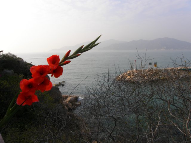cheungchauisland2001200879.jpg