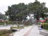 chinafuzhou2123012008123_small.jpg