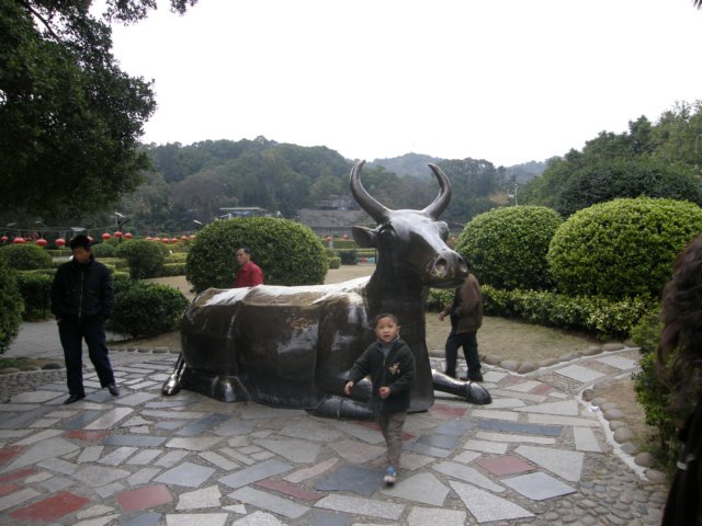 chinafuzhou2123012008124.jpg