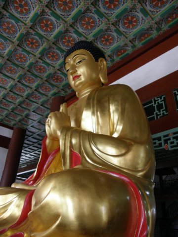 chinafuzhou2123012008154.jpg