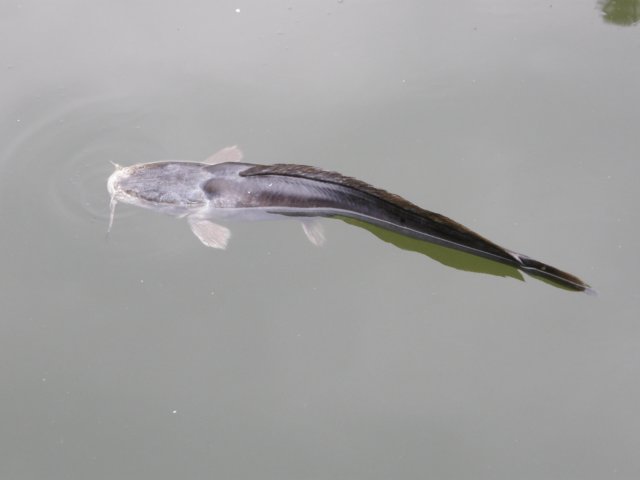chinafuzhou2123012008156.jpg