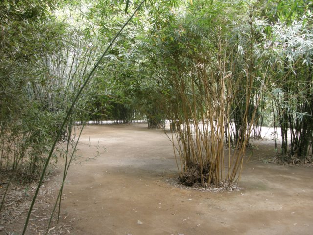 chinafuzhou2123012008164.jpg