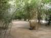 chinafuzhou2123012008164_small.jpg