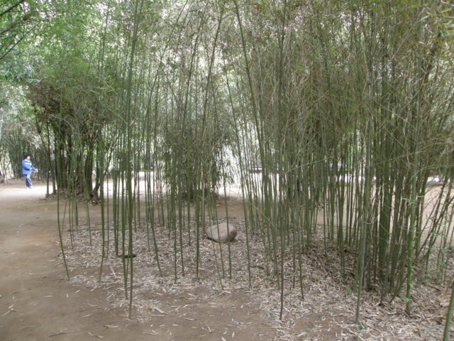 chinafuzhou2123012008165.jpg