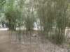 chinafuzhou2123012008165_small.jpg