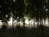 chinafuzhou2123012008166_small.jpg