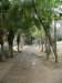 chinafuzhou212301200837_small.jpg