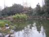 chinafuzhou212301200845_small.jpg