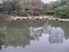 chinafuzhou212301200846_small.jpg