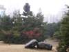 chinafuzhou212301200847_small.jpg