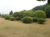 chinafuzhou212301200851_small.jpg