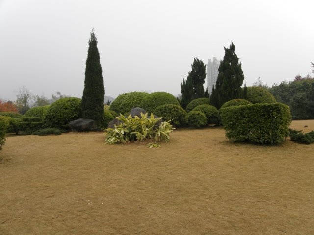 chinafuzhou212301200853.jpg