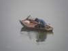 chinafuzhou212301200885_small.jpg