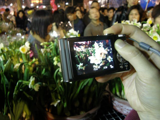hkchinesenewyeareveflowersmarketcausewaybay250120096.jpg