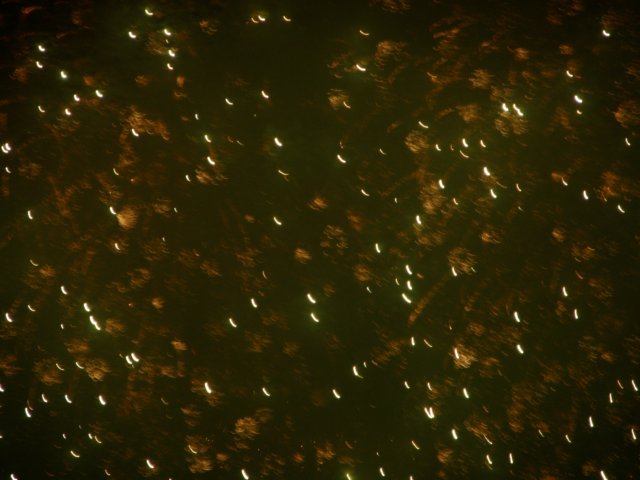 hkchinesenewyearsfireworks2701200982.jpg