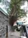ahksheungwangandsoho291200288_small.jpg