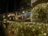 causewaybay2712200819_small.jpg