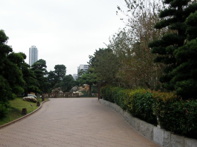 cdiamondhillchilin31122008.jpg