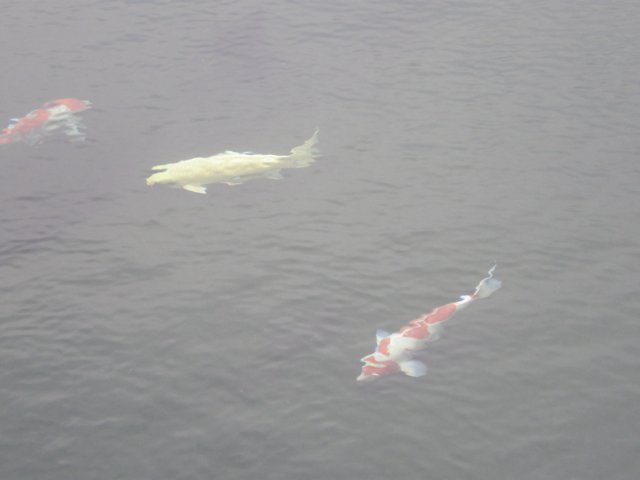 diamondhillchilin3112200815.jpg