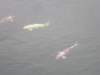 diamondhillchilin3112200815_small.jpg