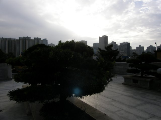 diamondhillchilin3112200831.jpg