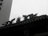hk3012200835_small.jpg