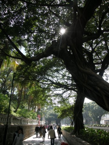 hkkowloongarden23122008.jpg