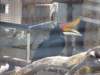 hkkowloongarden2312200810_small.jpg
