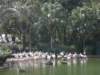 hkkowloongarden2312200812_small.jpg