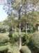 hkkowloongarden2312200815_small.jpg