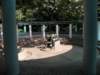 hkkowloongarden2312200818_small.jpg