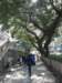 hkkowloongarden231220082_small.jpg
