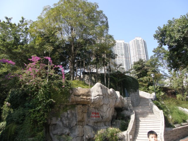 hkkowloongarden231220089.jpg