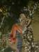 hklankwaifong2512200810_small.jpg