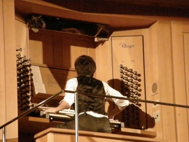 hkleehomconcert241220089.jpg