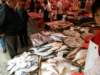 hkmarket2412200816_small.jpg