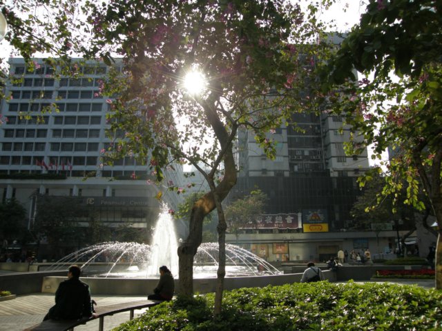 hktsimshatsuiavenueofstars2312200841.jpg
