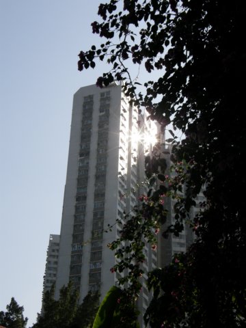 ahkchekungtempleandtsangtaiuk3.jpg