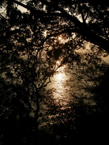 ahksunsetontheharbour020120092.jpg