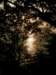 ahksunsetontheharbour020120092_small.jpg