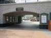 disneyworld0401200914_small.jpg