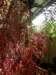 disneyworld040120092_small.jpg