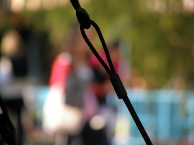 disneyworld0401200933.jpg