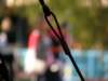 disneyworld0401200933_small.jpg