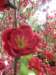 disneyworld040120093_small.jpg