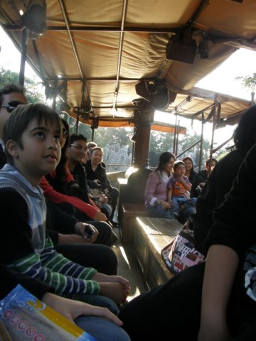 disneyworld0401200940.jpg
