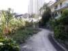 hkchekungtempleandtsangtaiuk0201200824_small.jpg