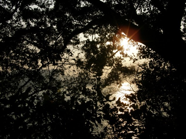 hksunsetontheharbour0201200812.jpg