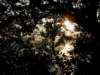 hksunsetontheharbour0201200812_small.jpg
