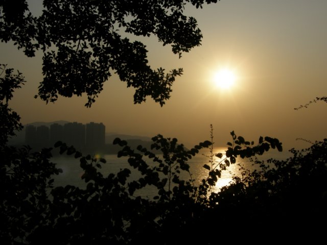 hksunsetontheharbour0201200814.jpg